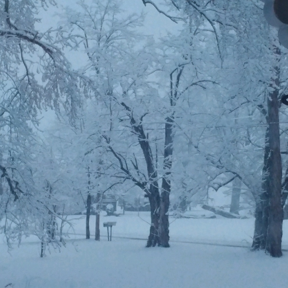 Meet your Posher, Bonnie